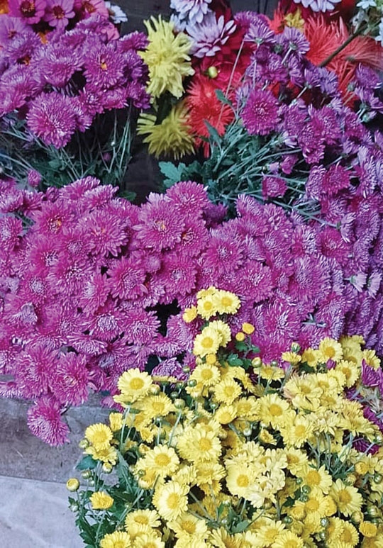 Flores para o Dia das Mães na Feira Livre