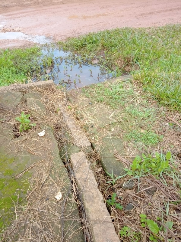 Moradora cobra desobstrução de boca de lobo na Rua Augusto Brandão