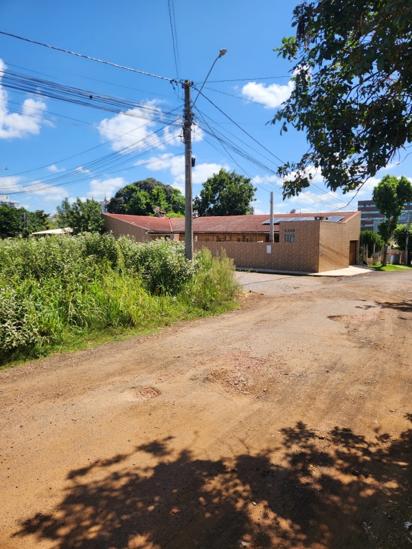 Falta de calçamento e matagal na Rua Silvio Scopel indigna empreendedor 