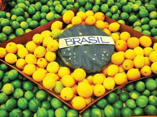 Olhar crítico para a pátria