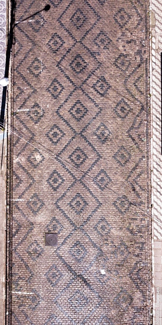 Couro de cobra?