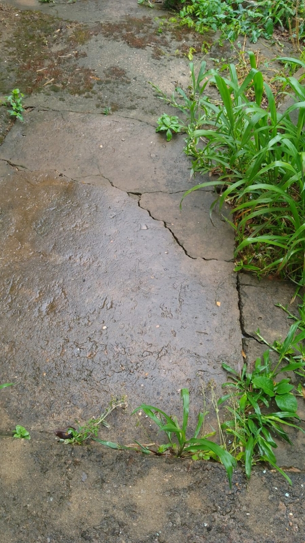 Descarte de lixo em sanga tem causado alagamentos em residências 