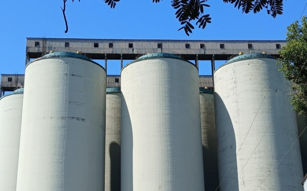 Pradozem removeu 78,5% da soja estragada