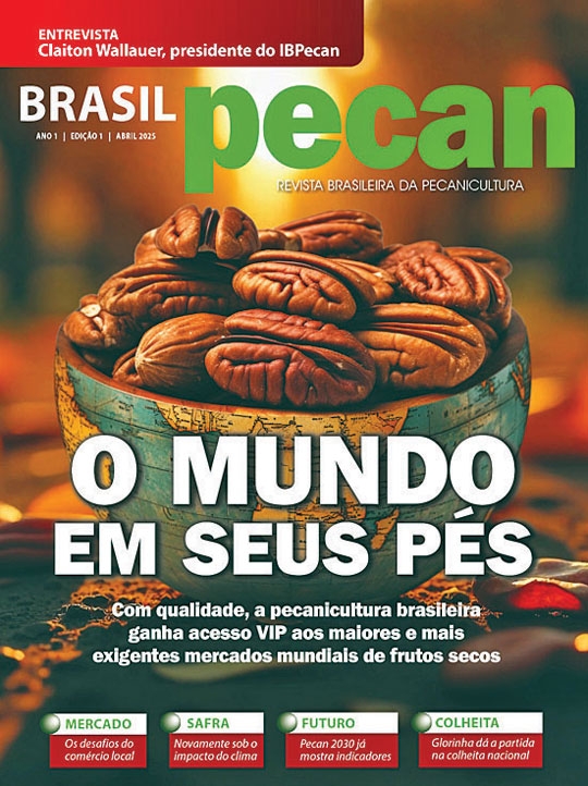 Brasil Pecan