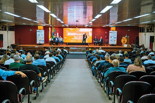 20% das nogueiras do RS estão em Cachoeira