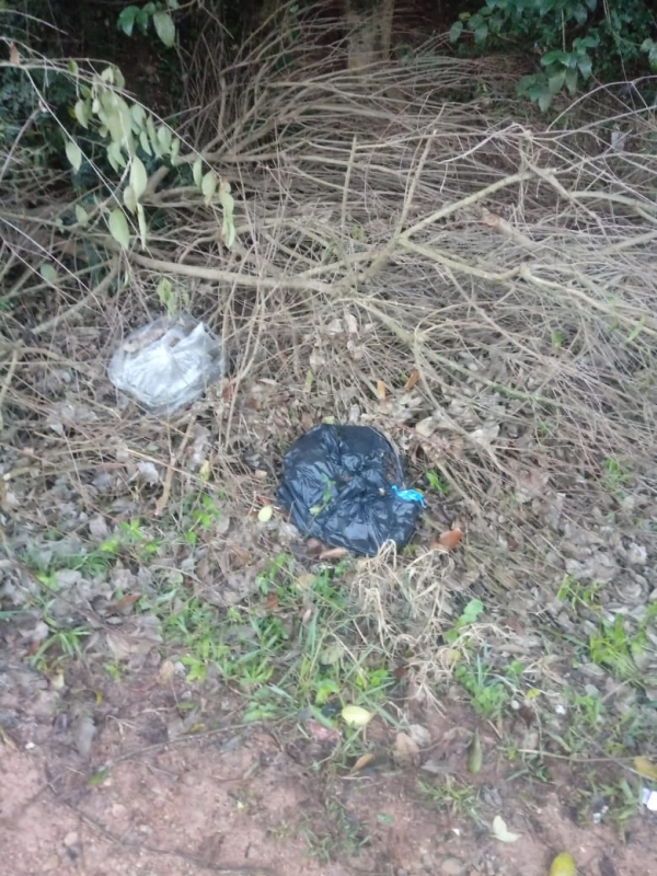 Leitor reclama de lixo espalhado pela rua
