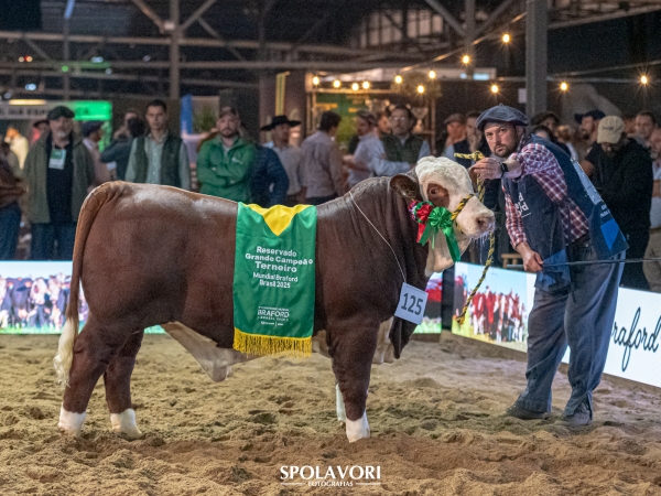 Fazendas Irapuá premiada no Congresso Mundial Braford