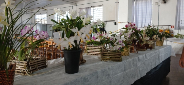 Paróquia São José receberá 31ª Exposição Regional de Orquídeas