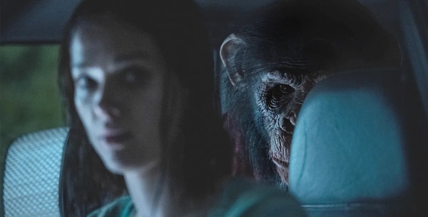 O Primata: fúria animal