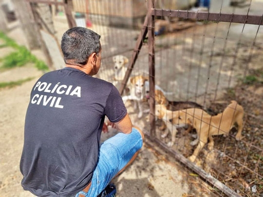 Delegacia Amiga dos Animais