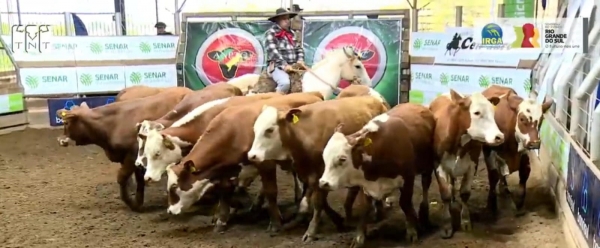Qualidade em pista na da Feira de Terneiros