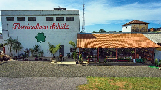 Floricultura Schütz tem de tudo para jardins