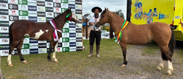 Cabanha São Jorge brilha na pista do cavalo crioulo em Canguçu 