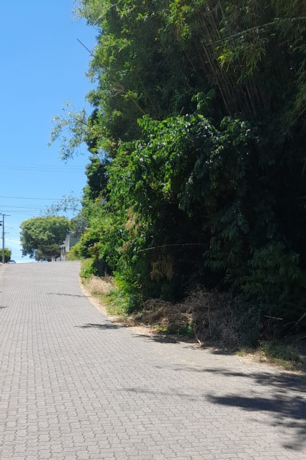 Rua Assis Brasil está abandonada 