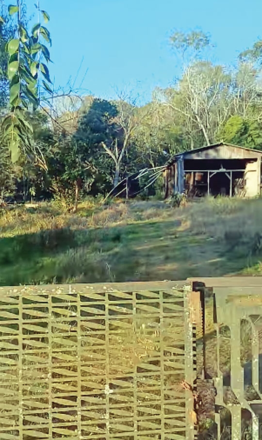 Líder comunitário relata o abandono do Horto