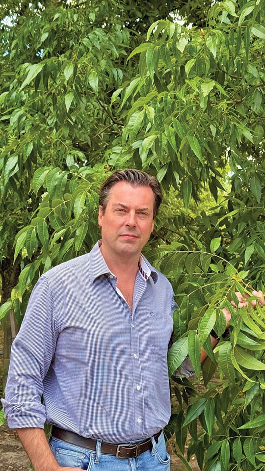 Cachoeira é o palco da noz pecan