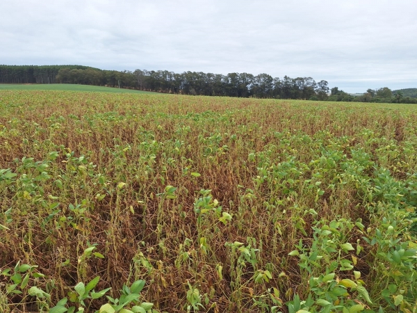Cachoeira precisa dados sobre a estiagem