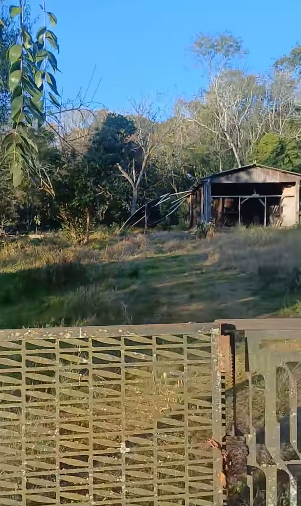 Líder comunitário relata abandono do Horto Florestal