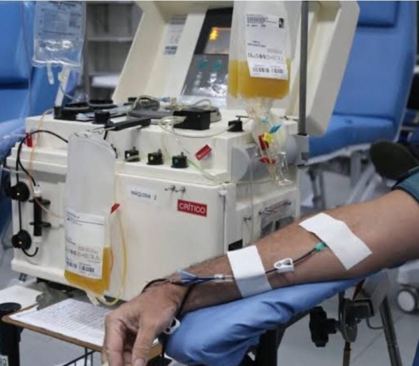 HCB precisa da doação de plaquetas 