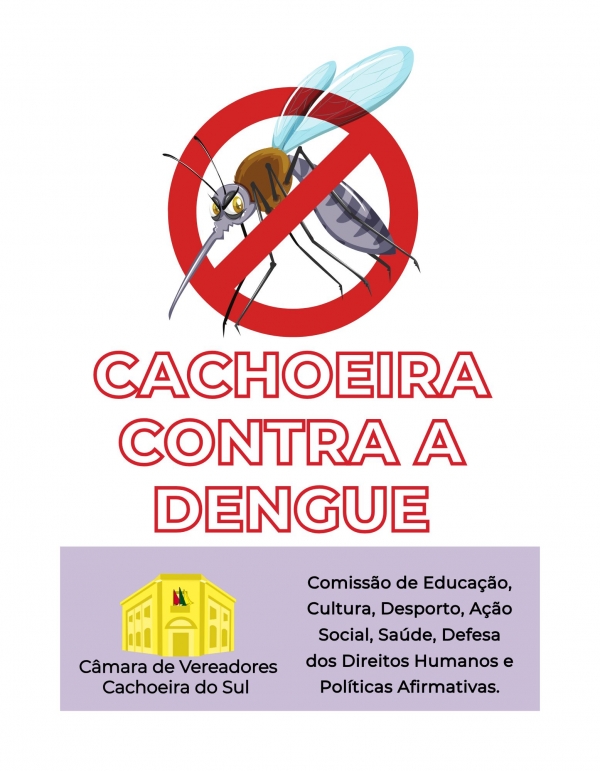 Câmara lança campanha contra a dengue