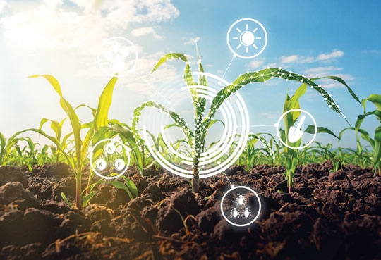 Agro reduz investimento tec