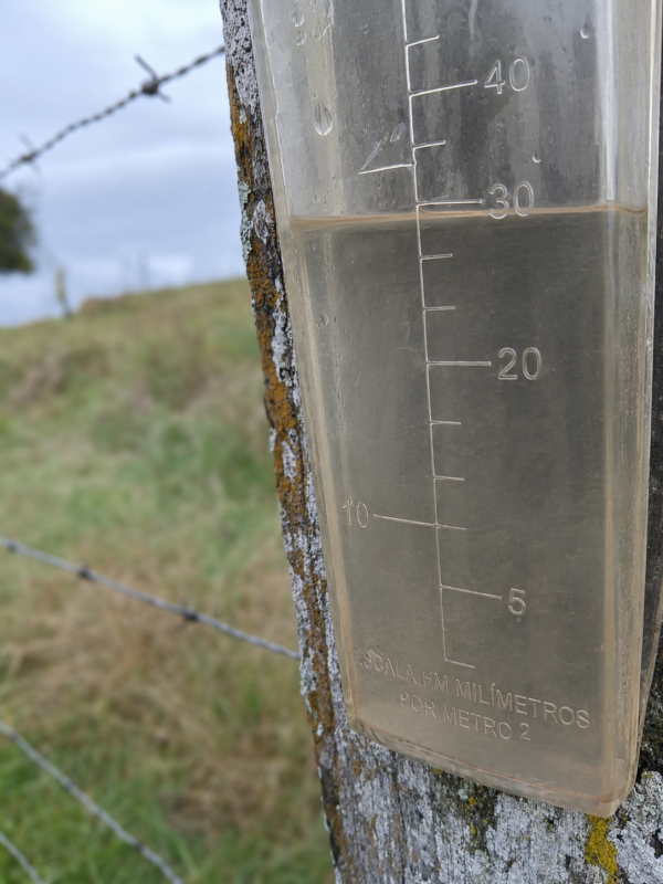 Chuva chega a 30 milímetros em Cachoeira do Sul 