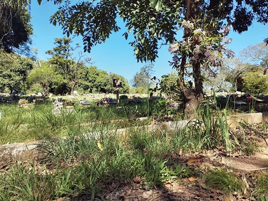 Cemitério Jardim da Paz segue abandonado