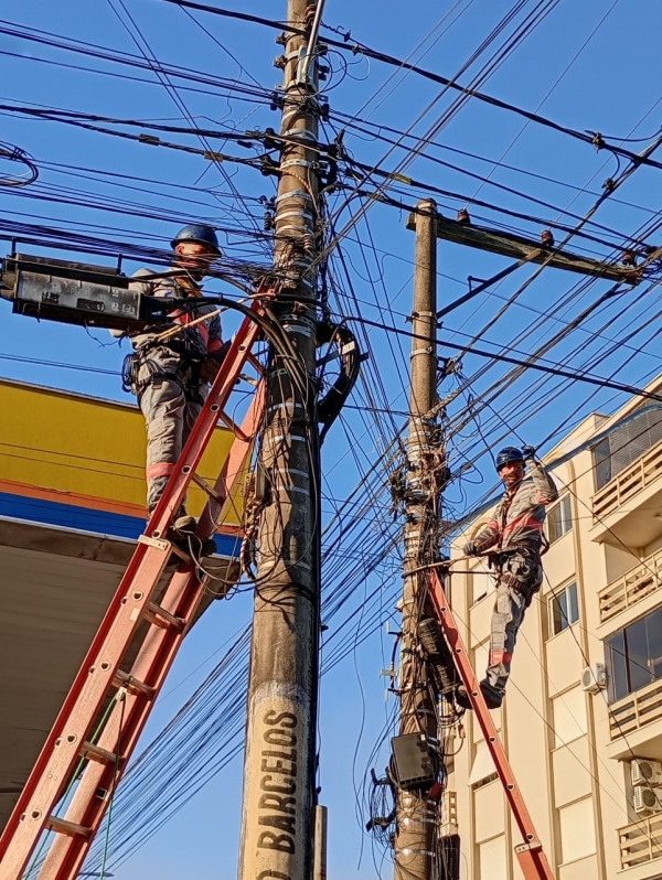 Mutirão recolheu quatro toneladas de fios em desuso em Cachoeira do Sul