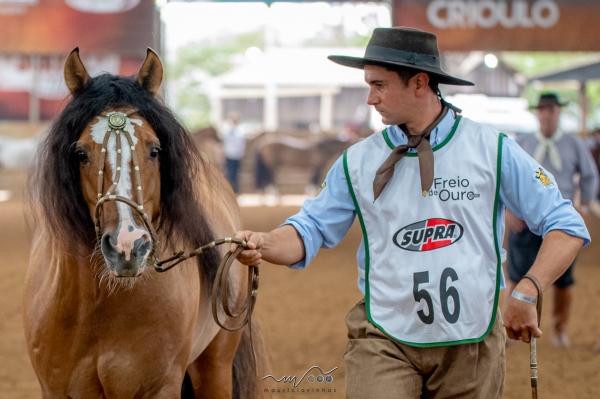 Ginete Raul Lima conquista o Freio de Ouro