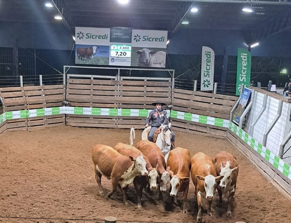 Remate do Servicon fatura R$ 491,9 mil em Cachoeira do Sul
