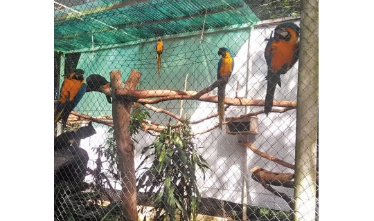Zoo de Cachoeira é exemplo de preservação