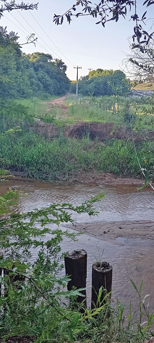Sem ponte, moradores do Bosque protestam