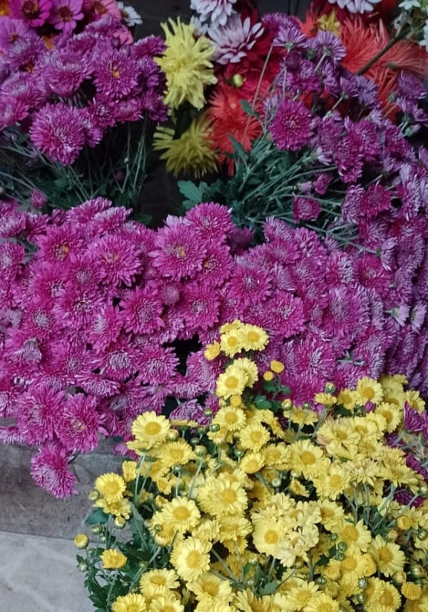 Flores para o Dia das Mães na Feira Livre