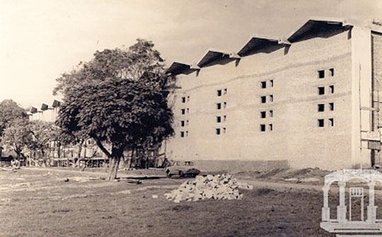 Fenarroz que faz história