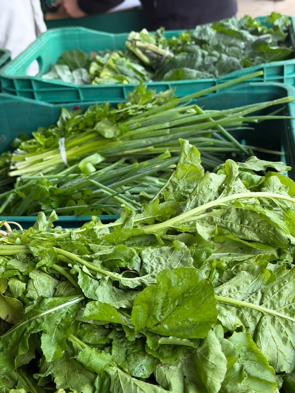 Prefeitura entrega alimentos para 140 famílias