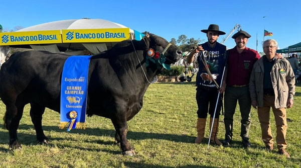 Touro da Boa Esperança é o grande campeão da Expointer