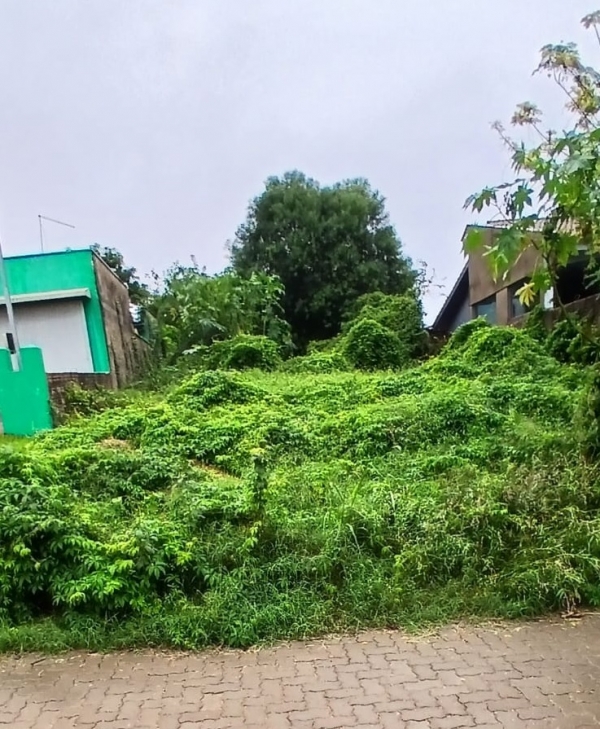 Aposentado denuncia terreno abandonado no Bairro Frota