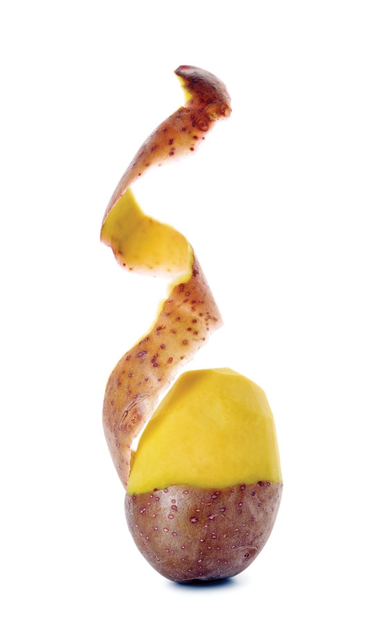 CASCA DA BATATA: ALIADA OU UM RISCO?