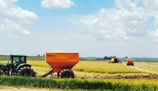 Estância do Chalé