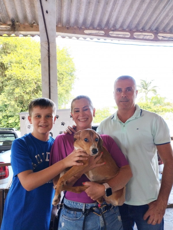 2º Grito da Adoção deu lar a 2 cães 