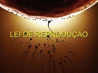  Lei de Reprodução