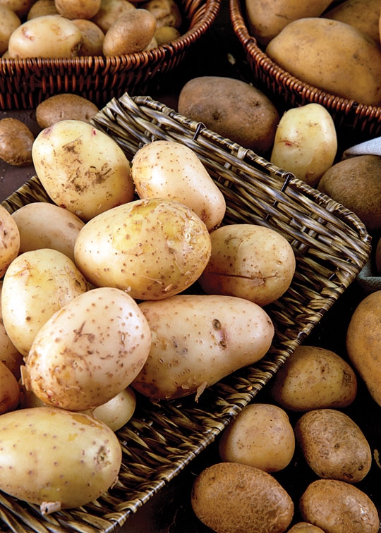 BATATA: O JEITO CERTO DE COMER