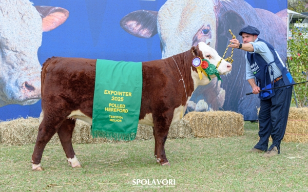 Fazenda Irapuá é premiada na Expointer