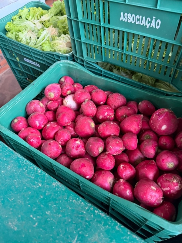 Prefeitura fará entrega de alimentos do PAA