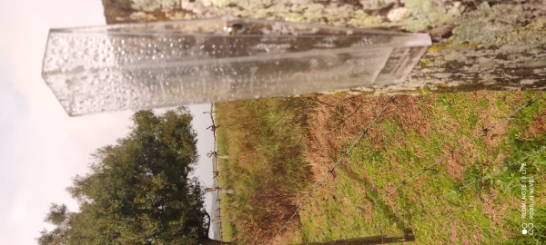 Chuva passou de 300 milímetros na semana em Cachoeira do Sul 