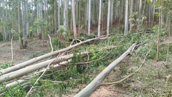 Moradores do Irapuazinho estão há cinco dias sem energia elétrica