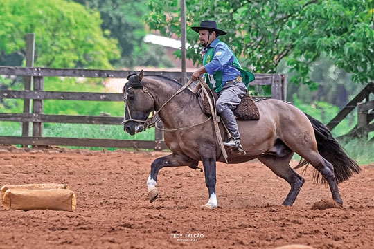 Dom Pedrito vence a Doma de Ouro
