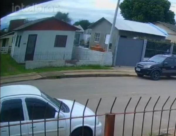 Veado é flagrado pelas ruas no Bairro Noêmia 