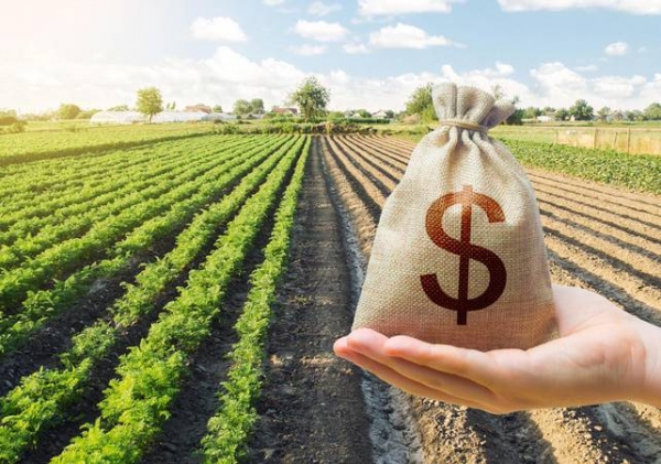 Portaria libera renegociação de dívidas rurais e Banrisul orienta produtores a procurarem as agências imediatamente