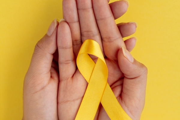 Câmara de Vereadores realiza seminário pelo Setembro Amarelo 